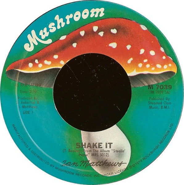 Shake It/ Stealin' Home