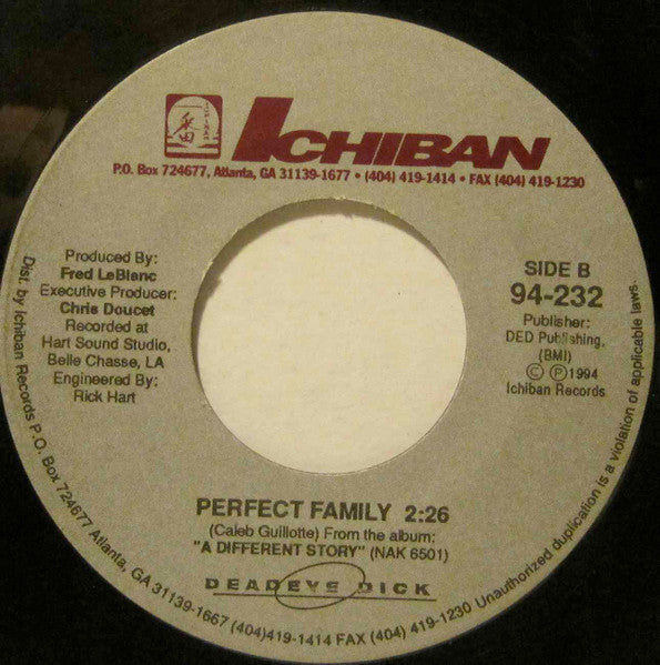 New Age Girl/ Perfect Family
