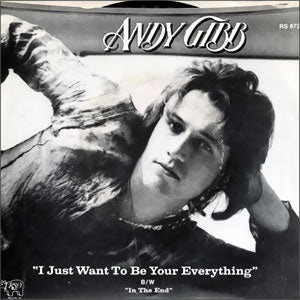 I Just Want To Be Your Everything/ In The End