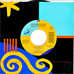 Brian Wilson/ Break Your Heart