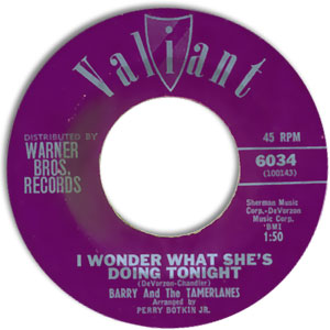 I Wonder What She's Doing Tonight/ Don't Go