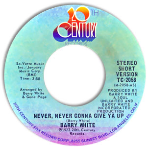 Never, Never Gonna Give Ya Up