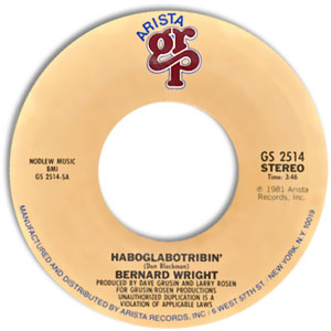 Haboglabotribin'/ We're Just The Band