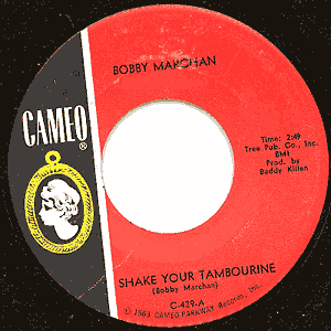 Shake Your Tambourine