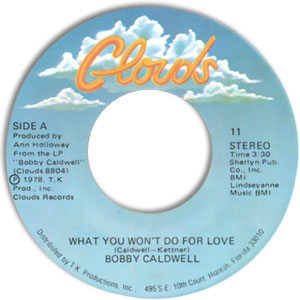 What You Won't Do For Love/ Love Won't Wait