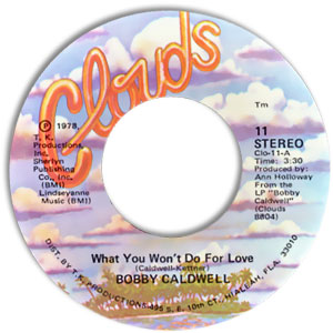 What You Won't Do For Love/ Love Won't Wait