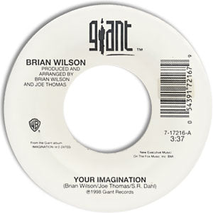 Your Imagination