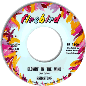 Blowin' In the Wind/ Trinket