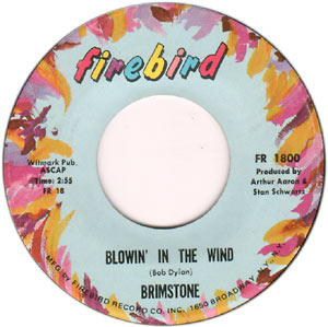 Blowin' In the Wind/ Trinket