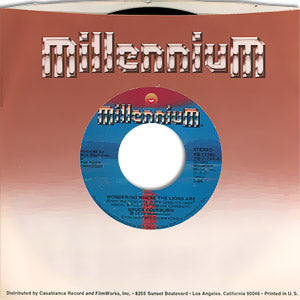 Wondering Where The Lions Are/ After The Rain