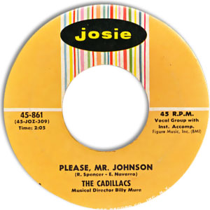 Please Mr. Johnson/ Cool It Fool