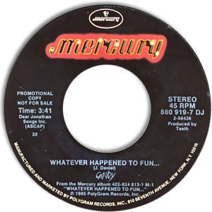 Whatever Happened To Fun...