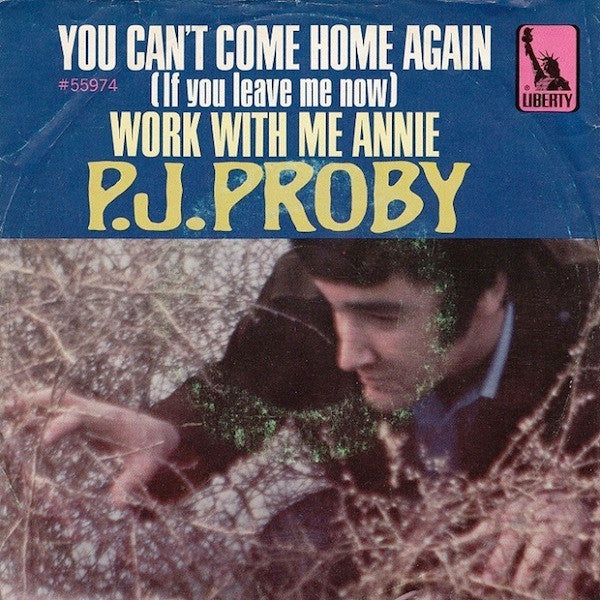 You Can't Come Home Again/ Work With Me Annie