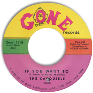 If You Want To/ Pretty Little Thing