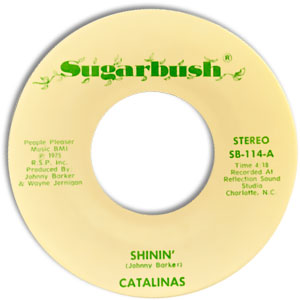 Shinin'/ Summertime's Calling Me