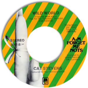 Wild World / Moon Shadow