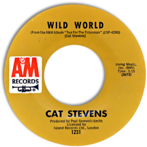 Wild World/ Miles From Nowhere