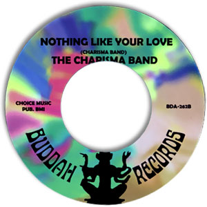 Ain't Nothing Like Your Love / Turnin' My Heartbeat Up