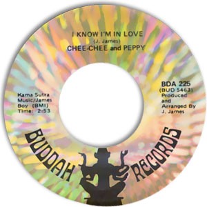 I Know I'm In Love/ My Love Will Never Fade Away