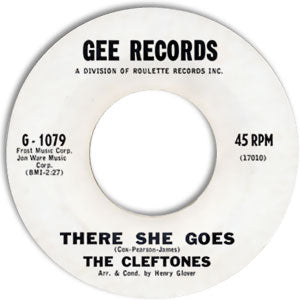 There She Goes/ Lover Come Back To Me