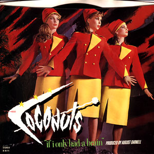 If I Only Had A Brain/ Indiscreet