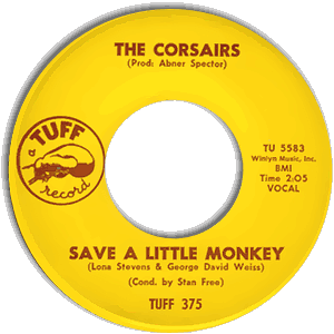 Save A Little Monkey