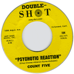 Psychotic Reaction/ They're Gonna Get You