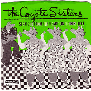 Straight From the Heart (Into Your Life)/ Echo