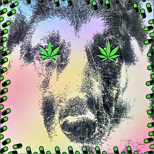 Foolin' Around/ Echando Desmadre