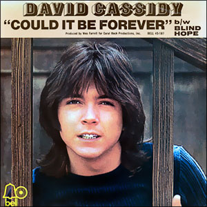 Could It Be Forever/ Blind Hope