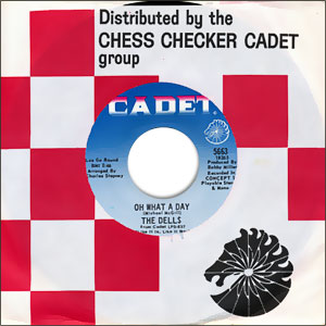 Oh What A Day/ The Change We Go Thru (For Love)