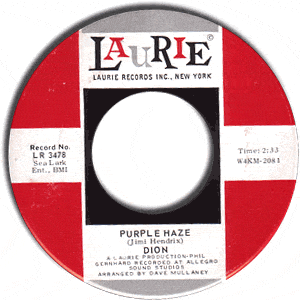 Purple Haze/ The Dolphins