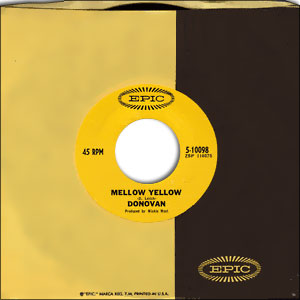 Mellow Yellow/ Sunny South Kensington