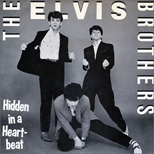 Hidden In A Heartbeat