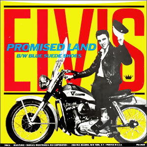 Blue Suede Shoes/ Promised Lnd