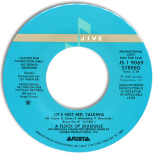 (It's Not Me) Talking