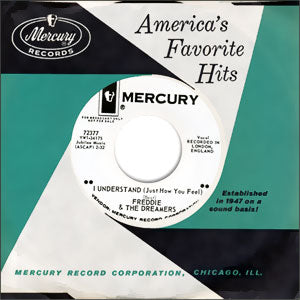 I Understand (Just How You Feel)/ I Will