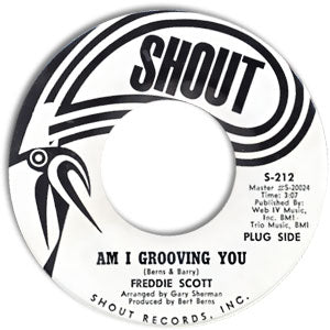 Am I Grooving You/ Never You Mind
