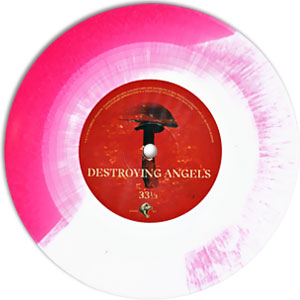 Destroying Angels/ Starman