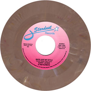 She's Just My Style / Save Your Heart For Me