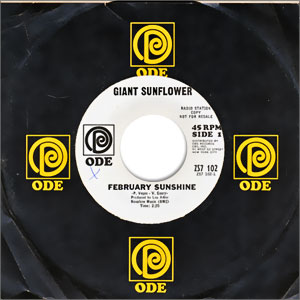 February Sunshine/ Big Apple