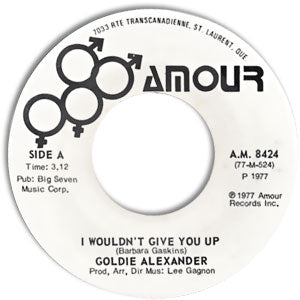 I Wouldn't Give You Up