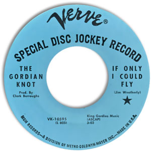 If Only I Could Fly/ The Year of The Sun