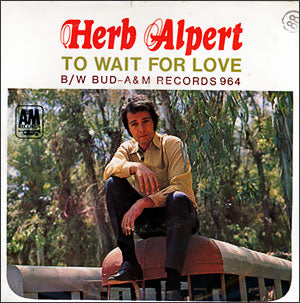 To Wait For Love/ Bud