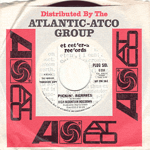 Pickin' Berries/ My Thoughts