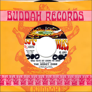 While You're Out Looking For Sugar?/ The Feeling's Gone