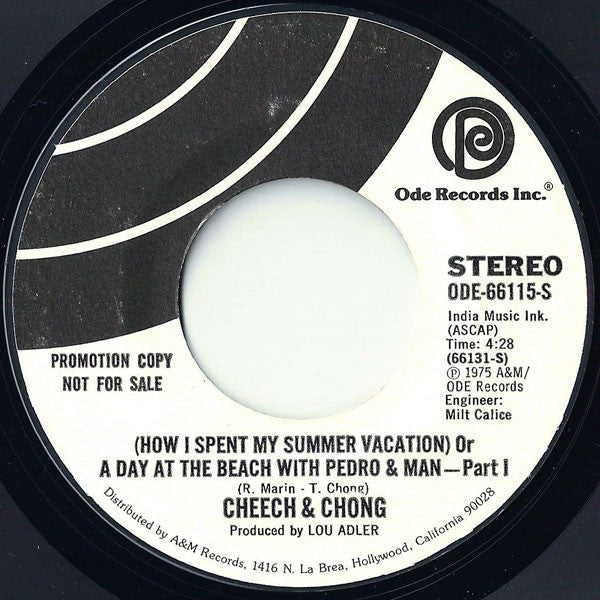 How I Spent My Summer Vacation or A Day At The Beach with Pedro & Man