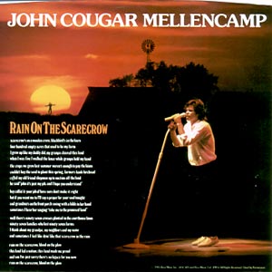 Rain on the Scarecrow