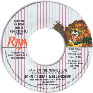 Rain on the Scarecrow