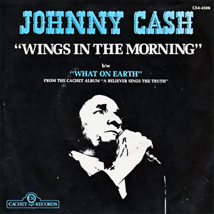 Wings In The Morning/ What On Earth